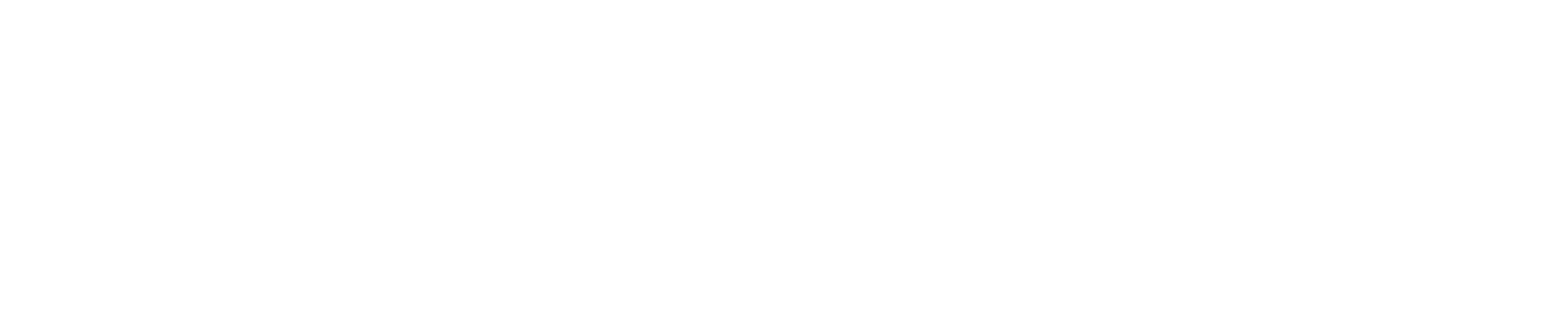 SPICE Presented by Shirley Desai